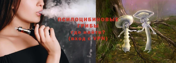 шишки Армянск