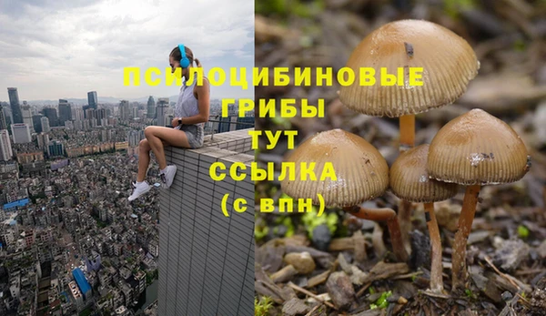 трава Арсеньев