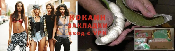 трава Арсеньев