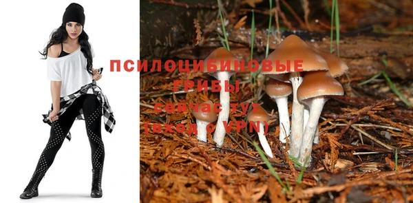 кокаин Алексеевка