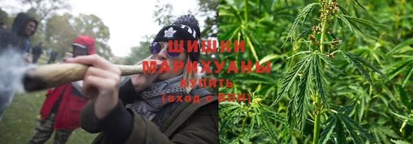 шишки Армянск