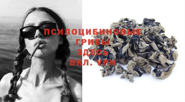 шишки Армянск