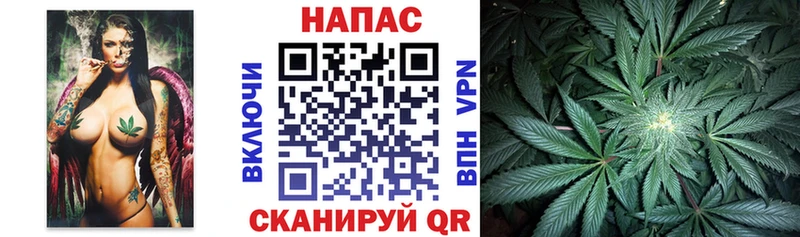 Купить  Спасск-Рязанский  Конопля SATIVA & INDICA 